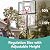Best Choice Products 10ft Regulation-Size Basketball Hoop, 7.5-10ft Height Adjustable Outdoor Portable Goal System w/Shock Absorbent Rim, High-Performance Base Gel, 2 Wheels