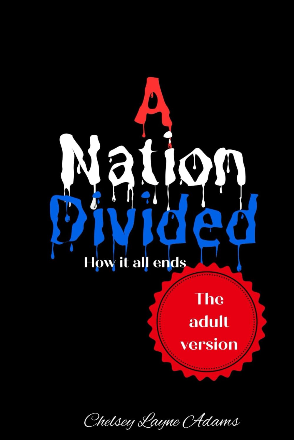 A Nation Divided: How it all ends