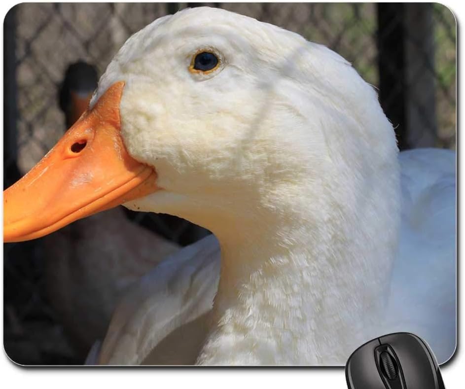 Mouse Pad - Duck Pekin Peking White Eye Older Bill Feathers
