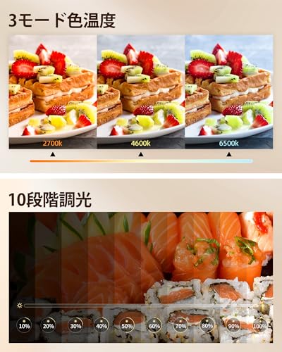 LUXSURE リングライト 撮影用ライト 手元撮影用スマホスタンド 俯瞰撮影ライト付き 10インチ スマホ撮影スタンド アーム撮影スタンド 卓上 スマホ 撮影 ライト ring light 撮影 照明 スタンド USB給電 真上から撮影スマホスタンド 料理 撮影/配信 ライト/動画撮影/女優ライト/zoom/ウェブ会議照明/ビデオライト/スマホライト 日本語説明書付き
