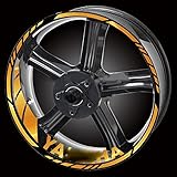 Ausreichende Menge für unterschiedliche Bedürfnisse, perfekt zum Dekorieren Ihres Motorrads, sehr witterungsbeständig, lichtbeständig und UV-beständig, beständig gegen Benzin, Salz, Schnee, Öl