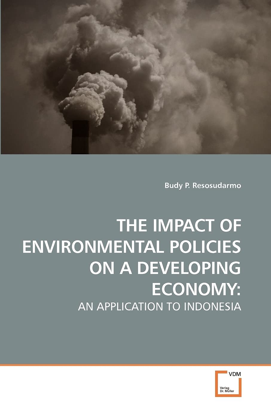 THE IMPACT OF ENVIRONMENTAL POLICIES ON A DEVELOPING ECONOMY:: AN APPLICATION TO INDONESIA