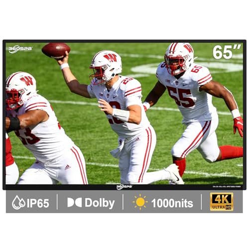 360SPB 65Inch Outdoor TV, 4K Outside TV, 1000nits Ultra-High Outdoor Television, IP65 Waterproof TV, Weatherproof TVs with Voice Assistant Remote, Compatible with Dolby, Outdoor Tvs for Patios, Sports