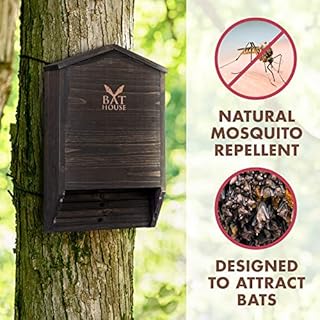 The Ultimate Wooden Bat House for Outdoors - A Large Double Chamber Box Perfectly Designed to Attract Bats - Durable and Easy to Hang