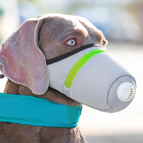 Atmungsaktive Hundeschnauze, verstellbare Schnauze – verstellbarer Luftfilter für Hunde, Mundschutz mit Atemdüse für Haus, Park, , Gehen