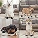 DqiUnaX Hundeschuhe Pfotenschutz Outdoor, 4 Paar wasserdichte Hundeschuhe Für Verletzungen, Hunde Schuhe Outdoor Für Kleine Hunde, Größe S (4 cm)