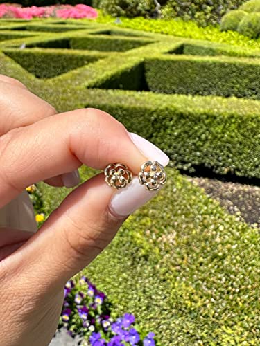 LE VIAN Chocolate Diamond Flower Stud Earrings for Women in 14k Yellow Gold (Brown Diamond, 0.01 cttw) Push Back Studs4