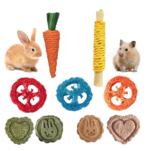 OUDQFCJ 9 Pz Giocattoli da Masticare per Conigli, Giochi Coniglio Nano Giochi per Criceti Giocattoli Molari Naturali per Porcellini d'India, Conigli, Criceti