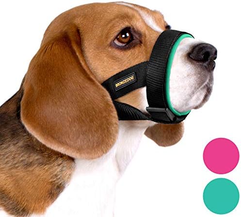 BRONZEDOG Soft Padded Dog Muzzle Adjustable Neoprene Comfort Bitting Chewing Pet Muzzles for Small Medium Large Dogs Puppy (Mint Green, Small)