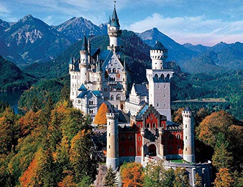 RYUTP DIY 5D Bohren Voll Diamant Malerei Kit Diamond Painting Schloss Schwanstein DIY Diamant Strass Stickerei Kunst Handwerk Wohnkultur Geschenk Cover