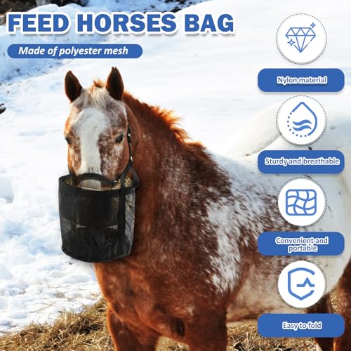 Deuson 2 Stück Pferde Futterbeutel,Futtertasche aus Nylon,Heavy-Duty Breathable Futterbeutel mit Verstellbarem Riemen und Langlebigem Snap,Pferd Maulkorb Futtertasche für Outdoor und Indoor(schwarz)