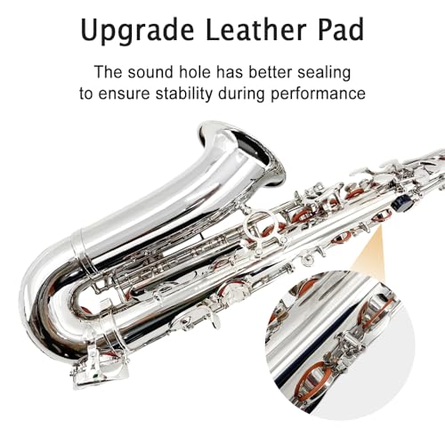 Image of Yinfente Eb Alto Saxophone For Beginners Adult,Saxophone Student,E Flat Alto Sax Full Kit With Reeds,Pads Cushions,Hard Carrying Case,Cleaning Cloth & Rod,Mouthpiece,Gloves,Neck Strap Silver