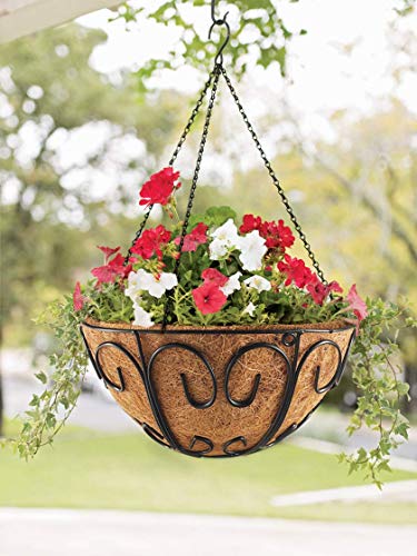 Cabasaa 2 Pack Metal Hanging Planter Basket With Coco Coir Liner Chain Round Wire Plant Holder Flower Pots Hanger Garden Decoration Porch Decor Watering Hanging Baskets Indoor Outdoor (12 Inch New) #TOP1
