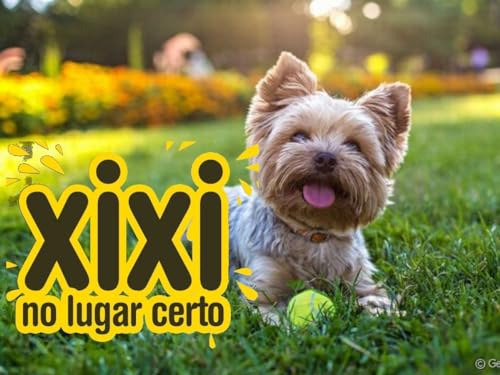 Tapete grama 1.00 x 50 cm Sanitário higiênico lavável