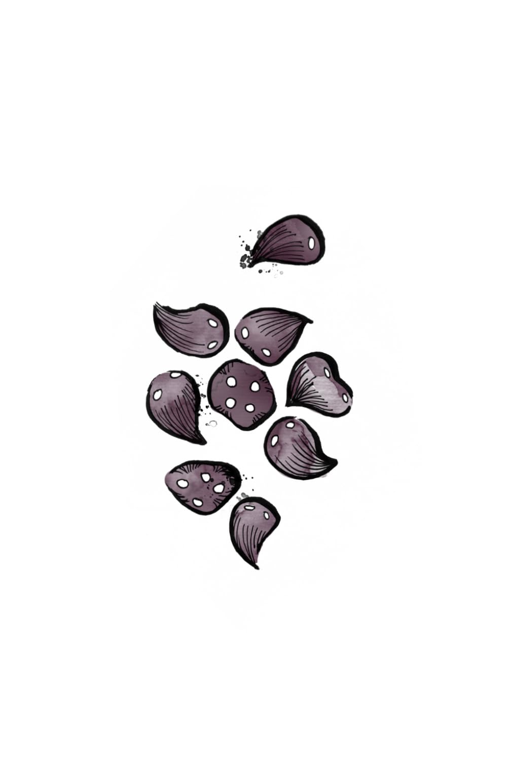 ODU IFÁ DIVINATION: ANCIENT AND MODERN TECHNIQUES TO CAST AND INTERPRET ODU IFÁ (ODU IFÁ REVELATIONS & DIVINATION TECHNIQUES)