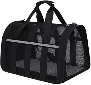 8-Quart Digital Air Fryer