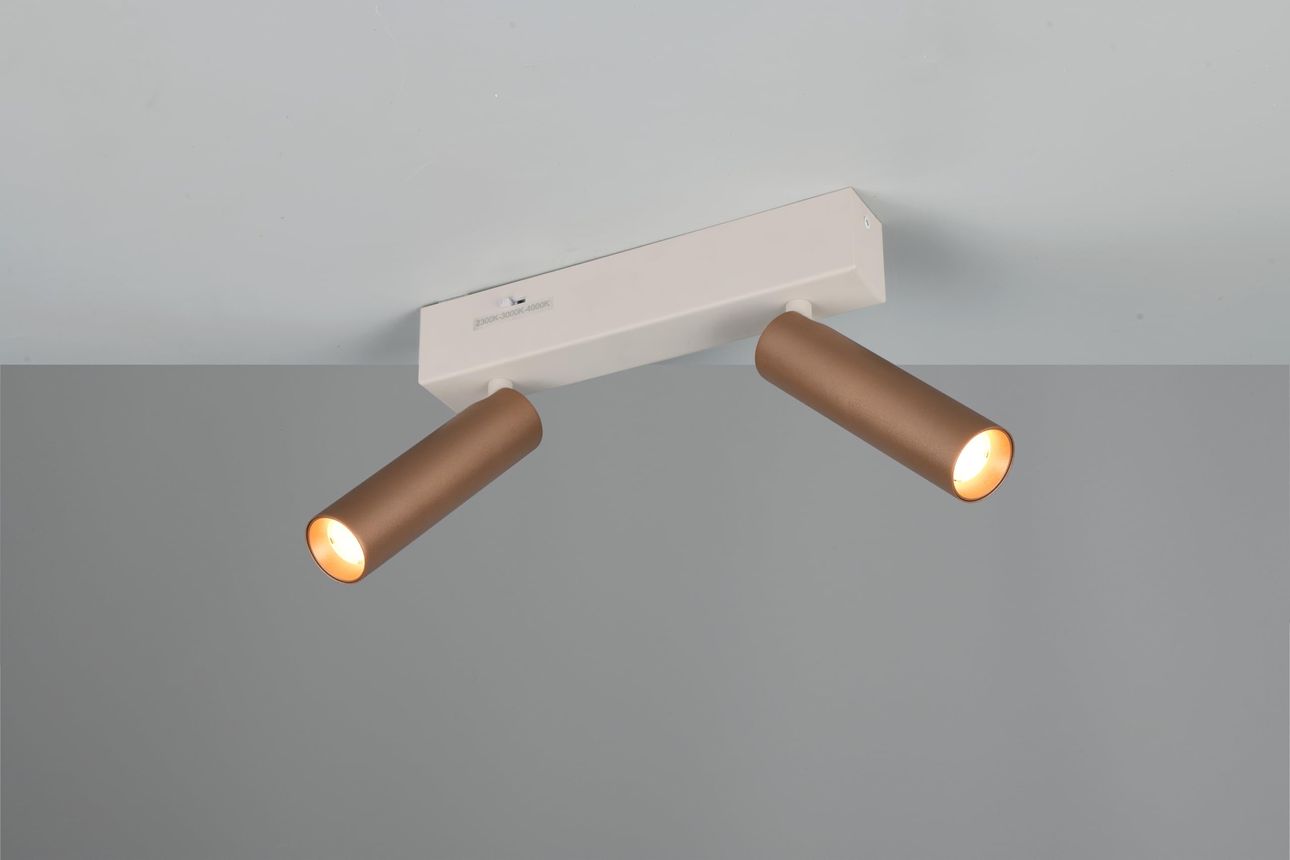 Trio Leuchten LED Strahler Ambala 849210265, Metall Warm Grey/Coffee, 2x 5.5 Watt LED, Lichtfarbe einstellbar, Switch Dimmer |