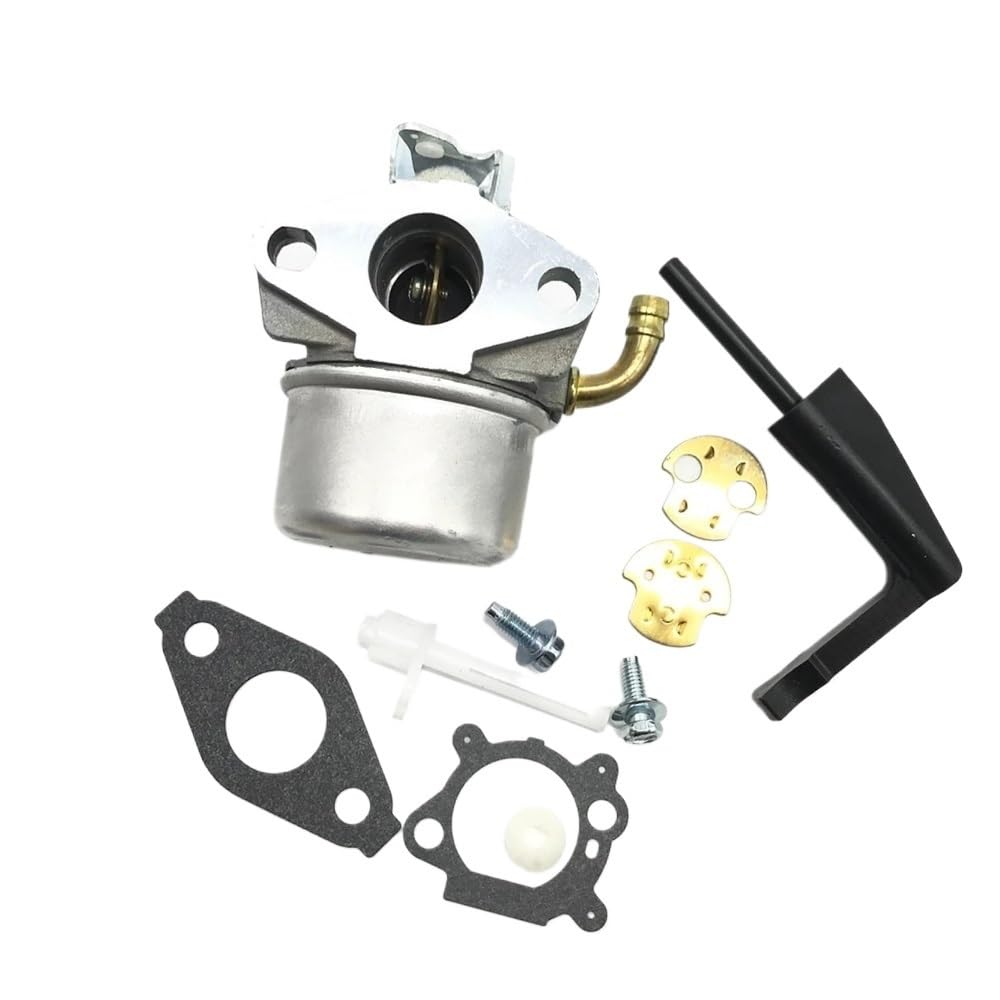 Carburateur pour Briggs 798653 697354 pièce de rechange moteur thermique