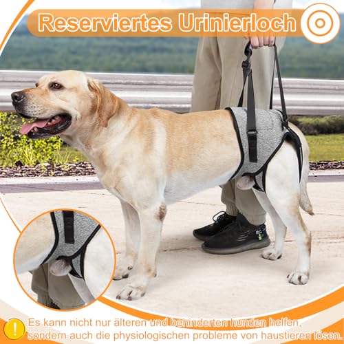 Hundehebegeschirr, Verstellbare Tragegeschirr Hund, Hundegeschirr Grosse Hunde Mit Schwammgriff, Tragbares Hundegeschirr für die Hinterbeine Kranke Oder Operierte Hunde