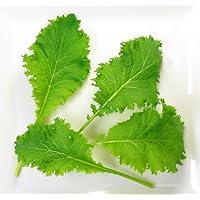 ベイビーリーフ 739-ATU416.jpg?1