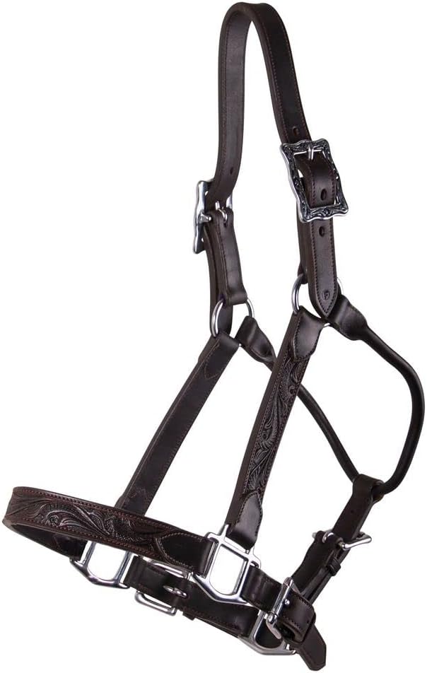 Schneiders Tooled Leather Show Halter | Elegant Horse Show Halter | Stable-Ready | Authentic Western Design | Premium Tooled Leather | Comfortable Pre-Oiled Fit