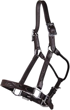 Schneiders Tooled Leather Show Halter | Elegant Horse Show Halter | Stable-Ready | Authentic Western Design | Premium Tooled Leather | Comfortable Pre-Oiled Fit