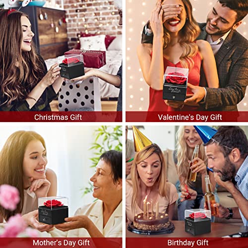 Emibele Vera Rosa Conservata con Collana a Cuore