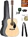 Fender CD-60S Solid Top Dreadnought Acoustic Guitar - Natural Bundle with Gig Bag, Tuner, Strap, Strings, Picks, Austin Bazaar Instructional DVD, and Polishing Cloth