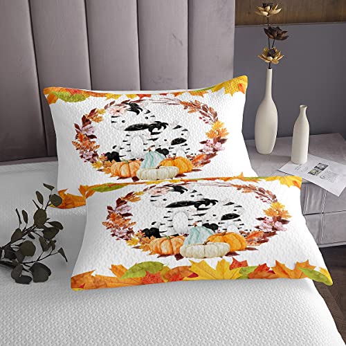 Erosebridal Conjunto de cama de zebra de desenhos animados para crianças colcha de outono tamanho du