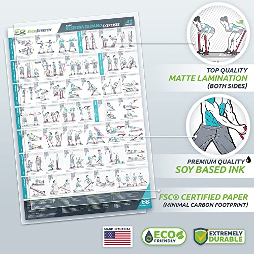 Póster de bandas de resistencia de 23x35 de EverStretch plastificado 2