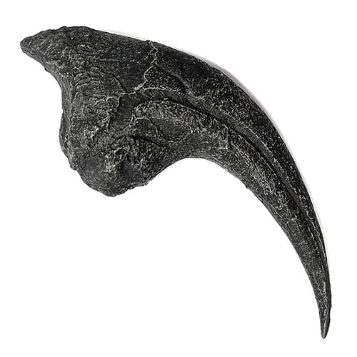 TENET - TENET - Fossile d'Allosaurus 20 x 8 cm (Reproduction) - Kit de science fondamentale - Fossile pour enfants et adolescents intéressés par les dinosaures