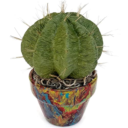 Premium Italian Crepe Paper Roll Heavy-Weight 90 Gram 8.07 Sq. Ft. (0.75 M²), 20" X 59" (388-Dark Green) #TOP4