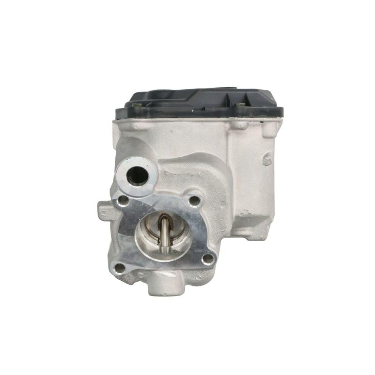 Delphi Technologies EG10538-12B1 Vanne EGR