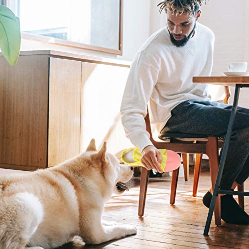 POPETPOP Giocattolo per Animali Domestici