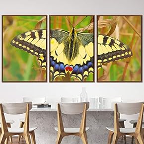 signwin 3 Piece Framed Canvas Wall Art Colorful...
