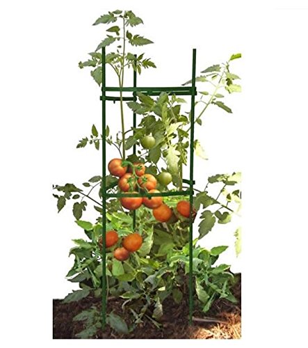 30 Stück Gartenpflanzen Pfähle Mit Verbindern - 41cm Rankhilfe Für Tomaten, Gemüse & Kletterpflanzen