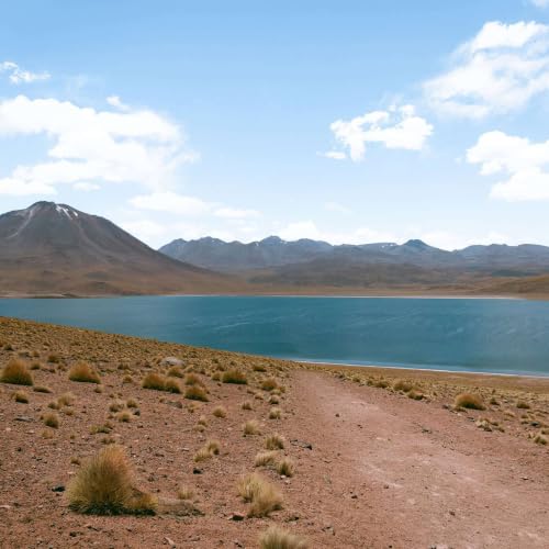 La ciudad que cuenta sus piedras : El mundo, hace cinco mil a&ntilde;os