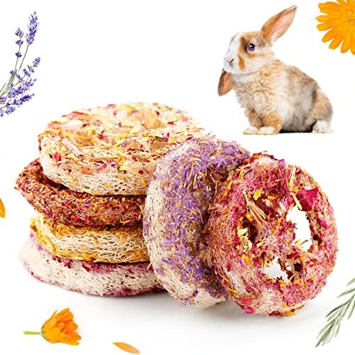 Natural Bunny Chew Toys for Rabbit Treat,Guinea Pigs Toys Organic Loofah Chew