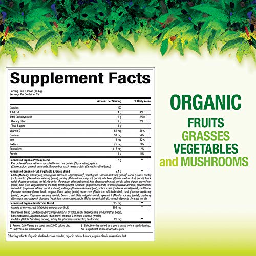Whole-Earth-Sea-from-Natural-Factors-Organic-Fermented-Greens-Vegan-Whole-Food-Supplement-Chocolate-77-Oz