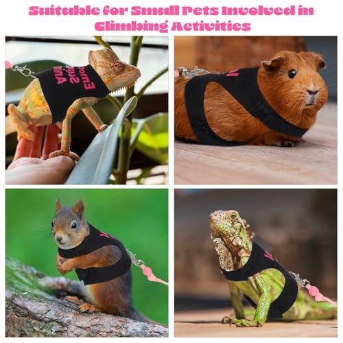 Image of Bearded Dragon Leash and Harness Set, Adjustable Polyester Harness with 4.76ft Leash for Outdoor Walking, Leashs for Bearde Dragons Perfect Bearded Dragon Starter Kit, Pink & Black