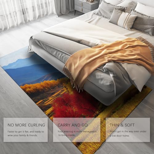 Tapis antidérapant lavable pour en finir avec les glissades dans le salon - 5