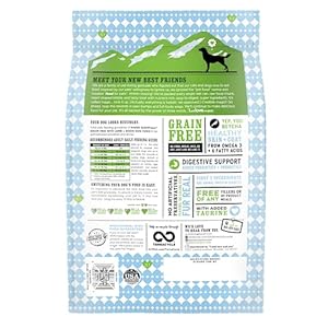 I and Love and Also You Bare Necessities Dry Canine Meals  Lamb + Bison  Excessive Protein Actual Meat No Fillers Prebiotics + Probiotics 4lb Bag  Cucciolini Doodles I and love and also you bare necessities dry canine meals  lamb + bison  excessive protein actual meat no fillers prebiotics + probiotics 4lb bag   cucciolini doodles