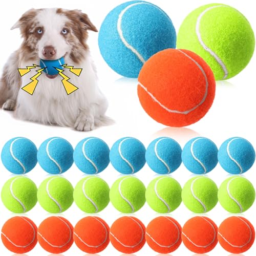 Skylety 24 2.5C` ރejX{[ oN p e  ejX{[ ̗Vїpi g[jO C^NeButFb`  q̉^ƗKp (3F)