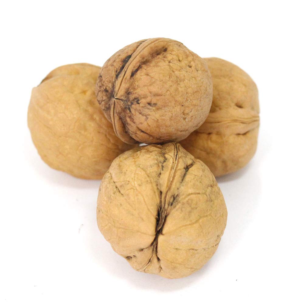 Amazon.co.jp: 信州産 菓子くるみ殻付き(500g)【信州産／小林多男商店