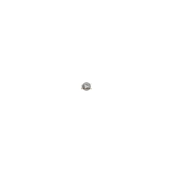 Dazzlingrock Collection 0.95 Carat (ctw) Round Diamond Ladies Double Halo Cluster Screw Back Stud Earrings, Available in 10K/14K/18K Gold & 925 Sterling Silver - Image 8