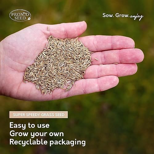 Pronto Seed Grass Seed - 400g Fast Growing 24 m2 Coverage for Overseeding - Fast Growing and Hard Wearing Grass Seeds - Tailored to UK Climate - Defra Approved