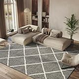 SAFAVIEH Hudson Shag Collection Area Rug - 8' x 10', Grey & Ivory, Modern Trellis Design, Non-Shedding & Easy Care, 2-inch Thick Ideal for High Traffic Areas in Living Room, Bedroom (SGH281B)