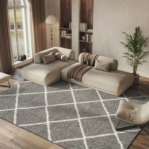 SAFAVIEH Hudson Shag Collection Area Rug - 8' x 10', Grey & Ivory, Modern Trellis Design, Non-Shedding & Easy Care, 2-inch Thick Ideal for High Traffic Areas in Living Room, Bedroom (SGH281B)