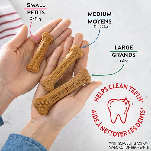 Milk-Bone Brushing Chews Dental Dog Treats, Chicken Flavour Dental Chew, Helps Clean Teeth and Reduce Bad Breath, For Large Dogs, 18 Treats (Pack of 1) image 1