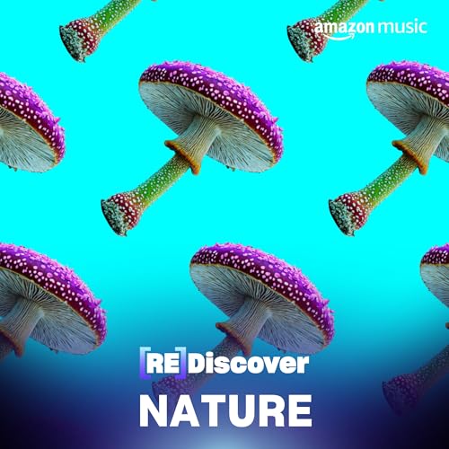 Zusammengestellt von: Amazon Music